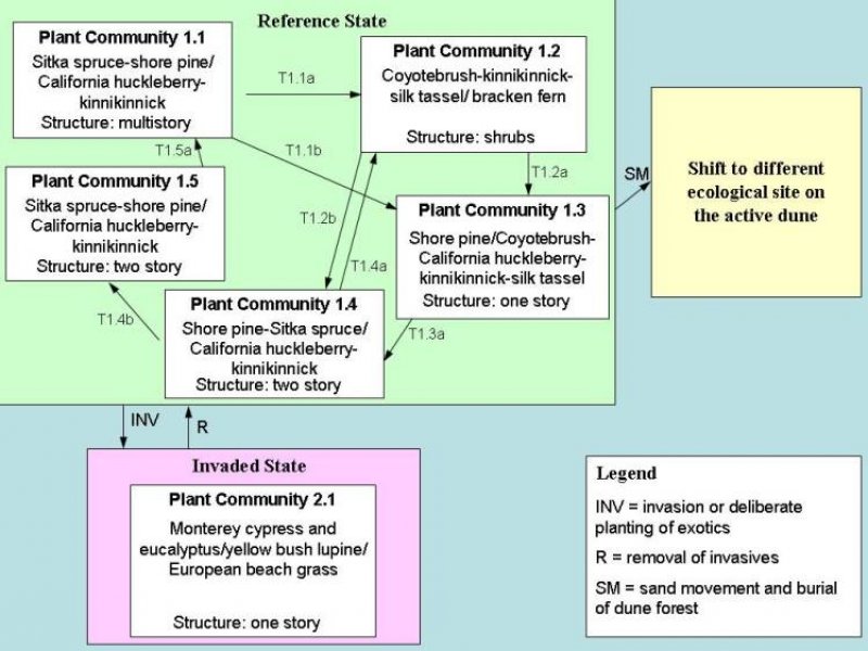 Model diagram
