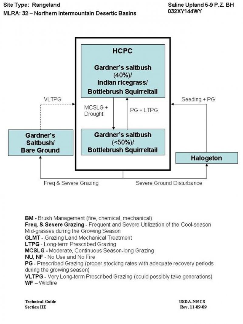 Model diagram