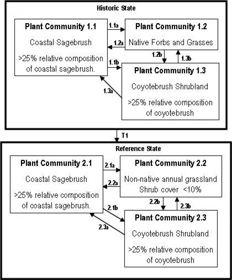 Model diagram