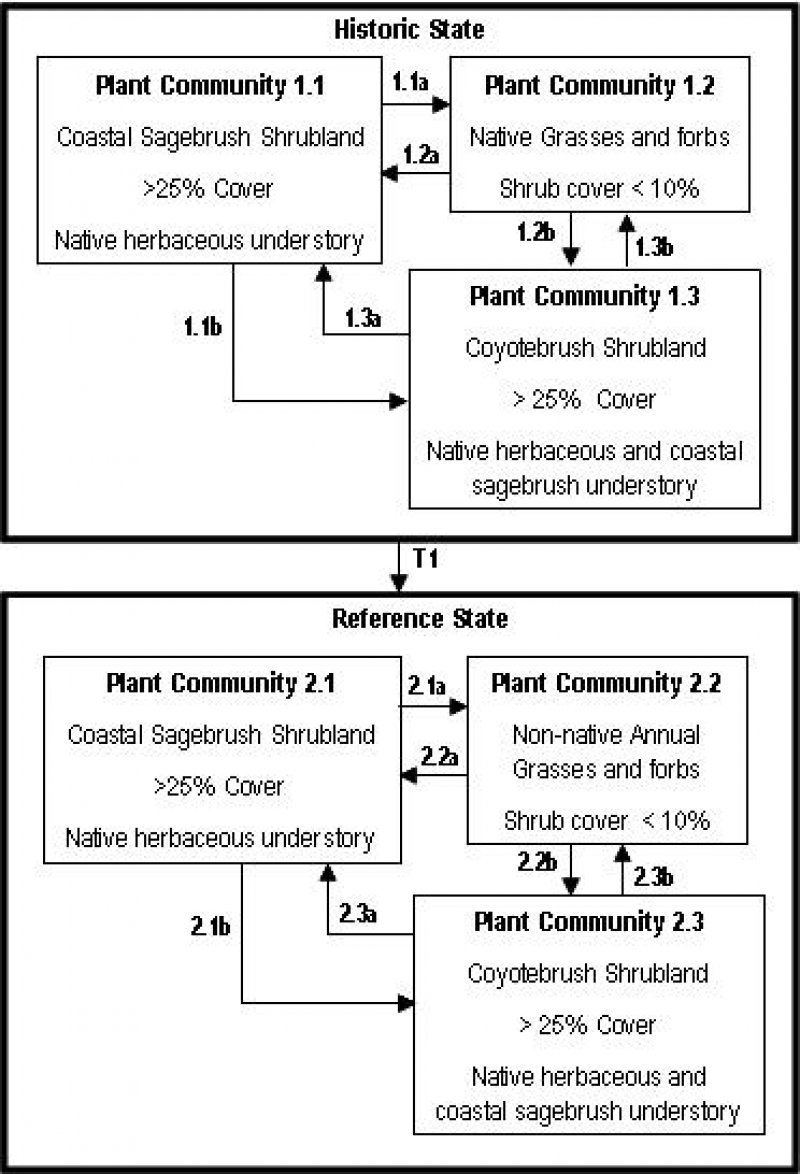 Model diagram