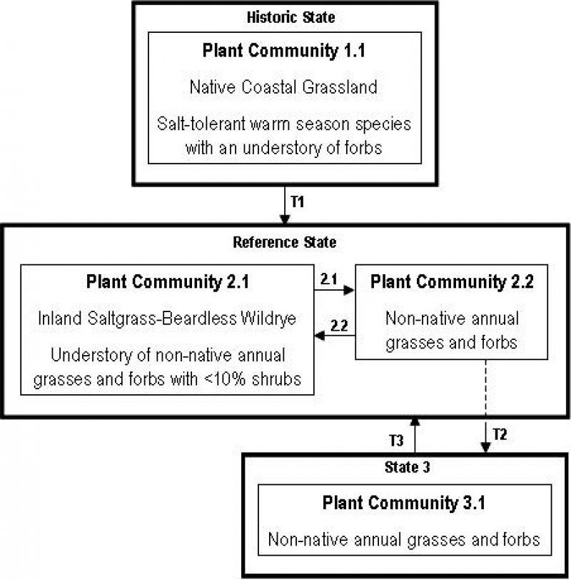 Model diagram