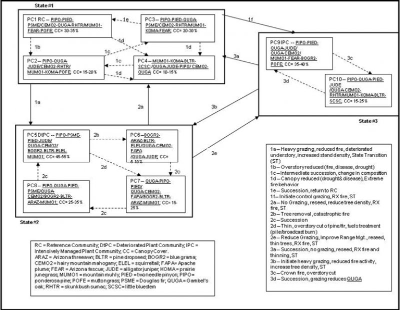 Model diagram