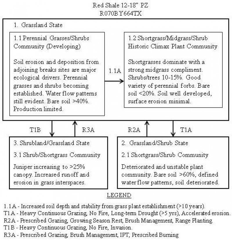 Model diagram