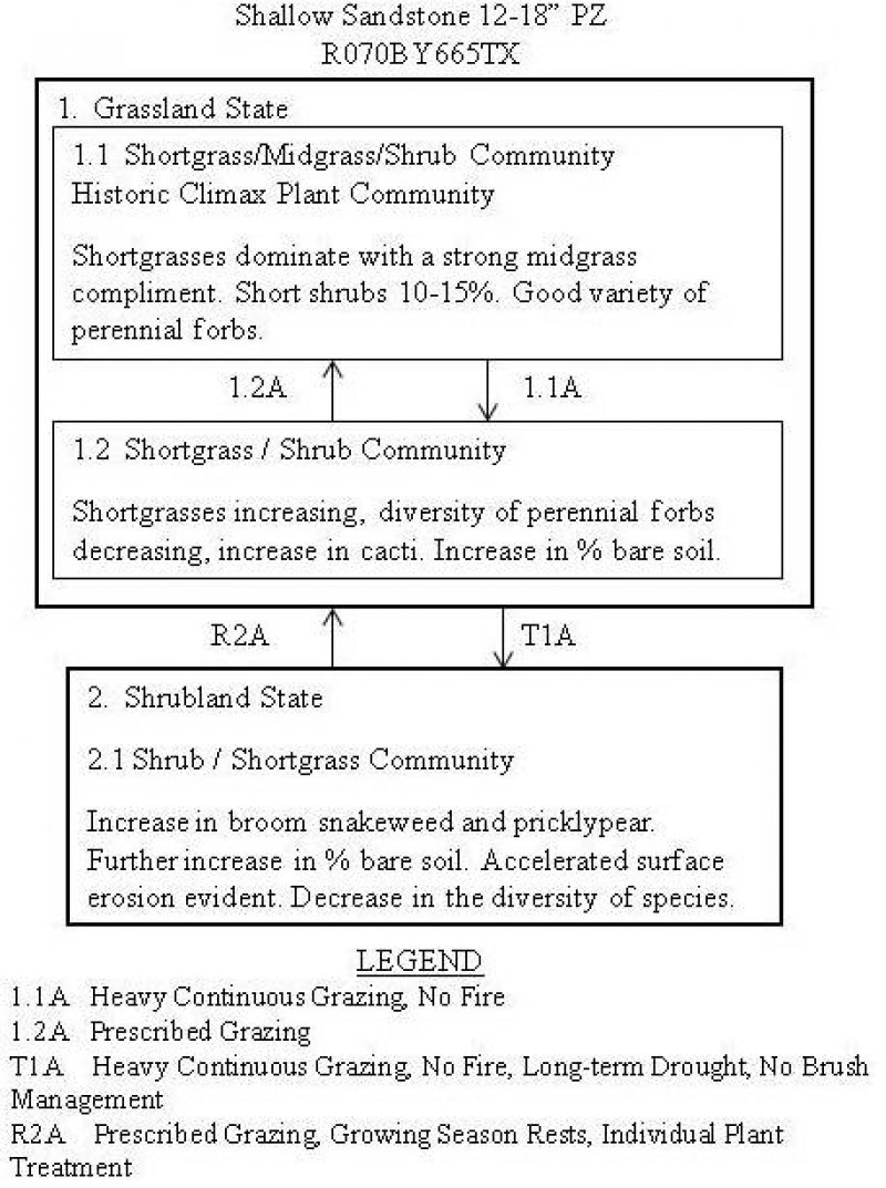 Model diagram