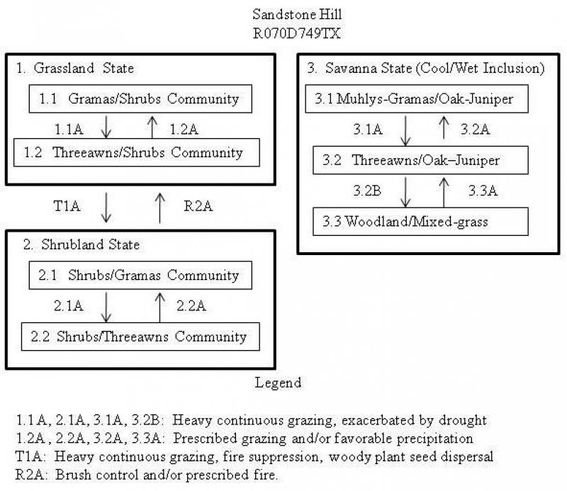 Model diagram