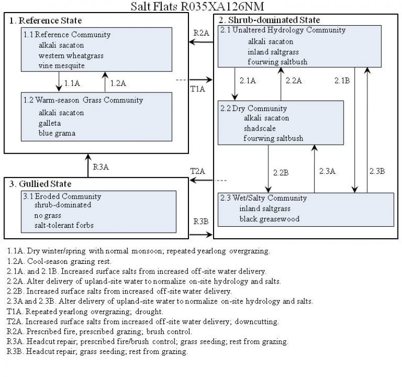 Model diagram