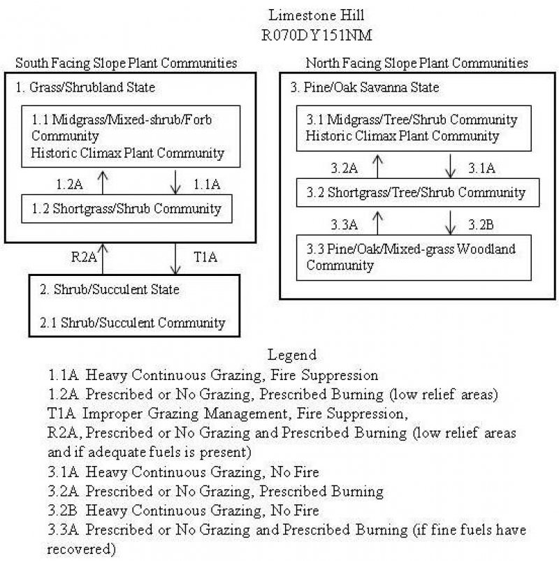 Model diagram