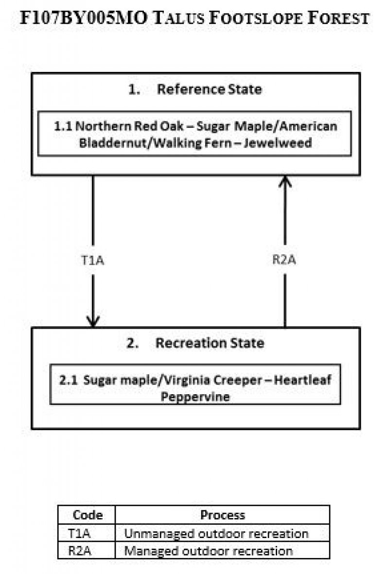 Model diagram