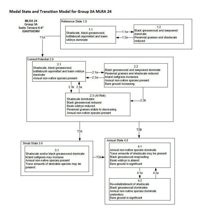 Model diagram