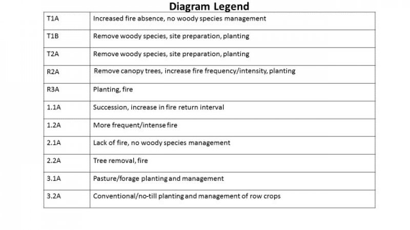 Model diagram