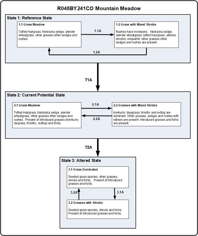 Model diagram