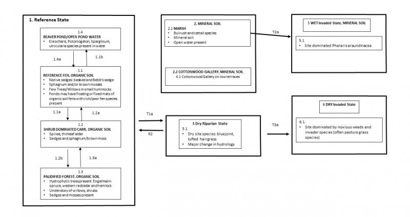 Model diagram