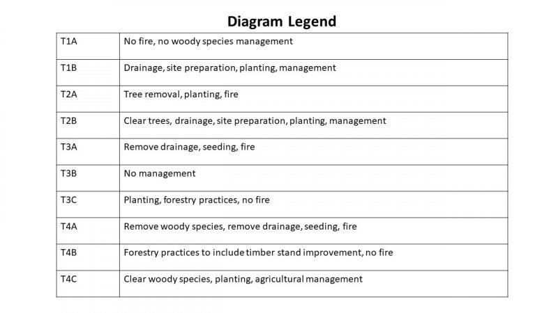 Model diagram