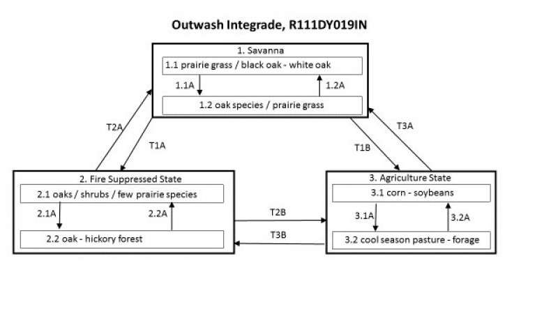 Model diagram