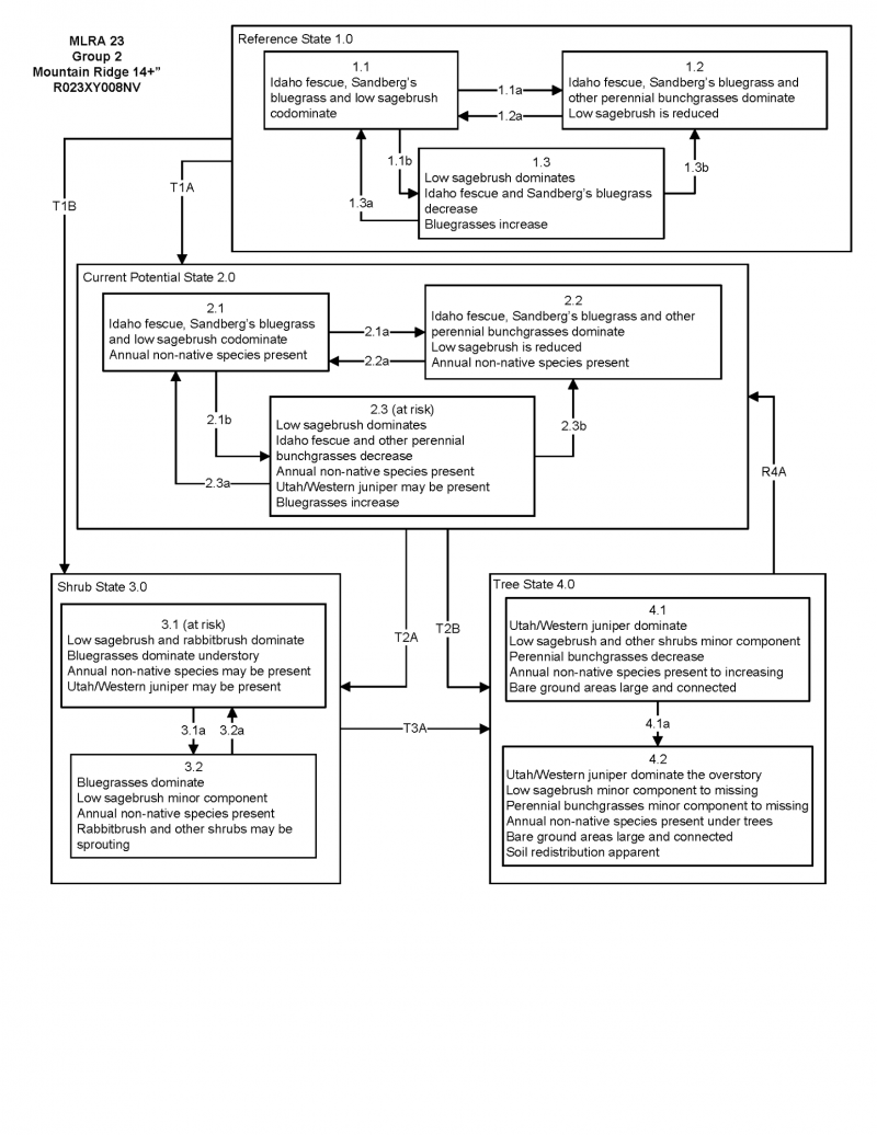 Model diagram