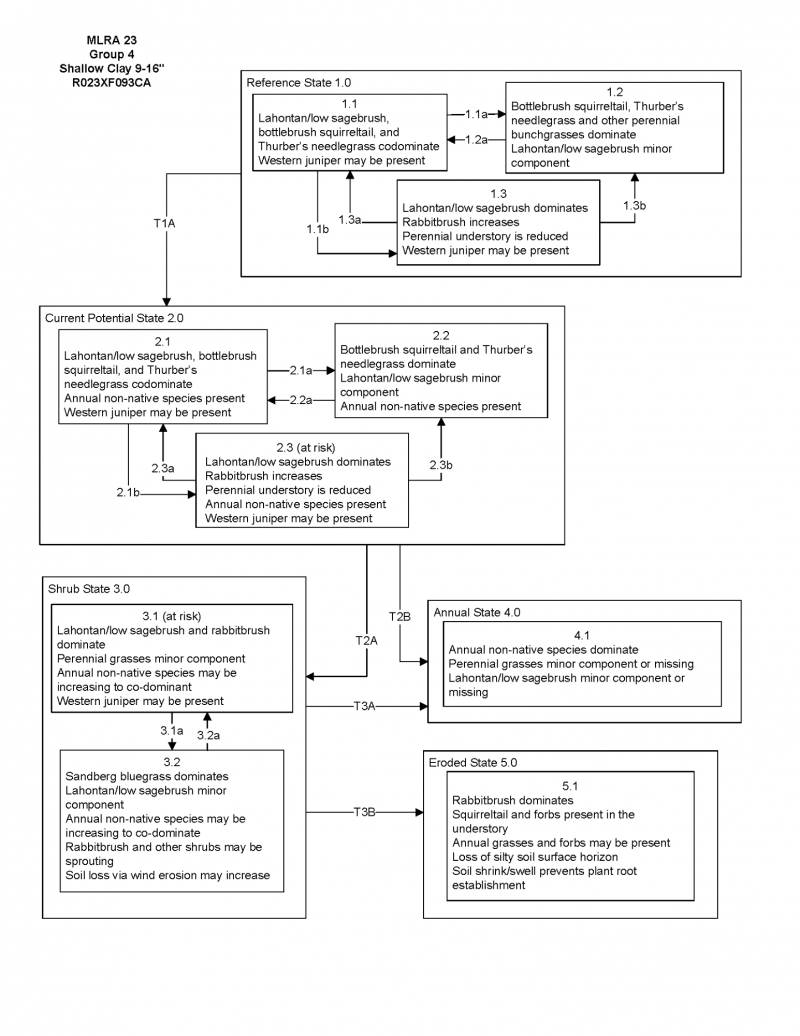 Model diagram