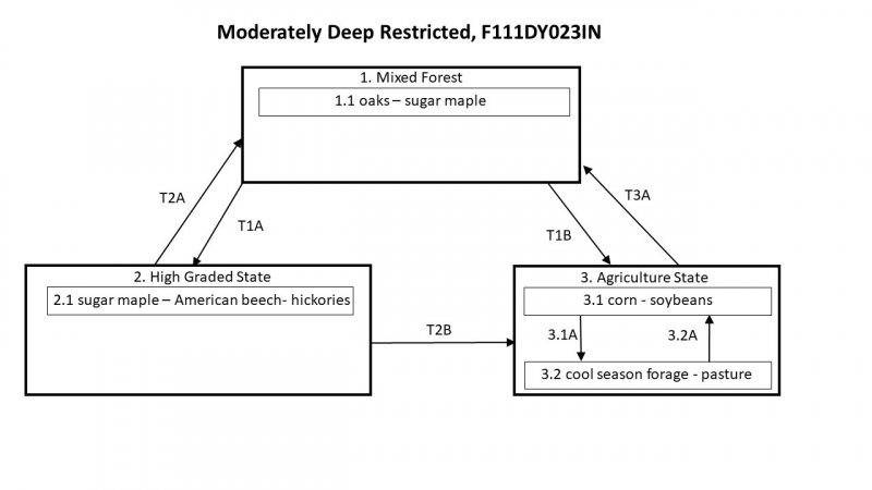 Model diagram
