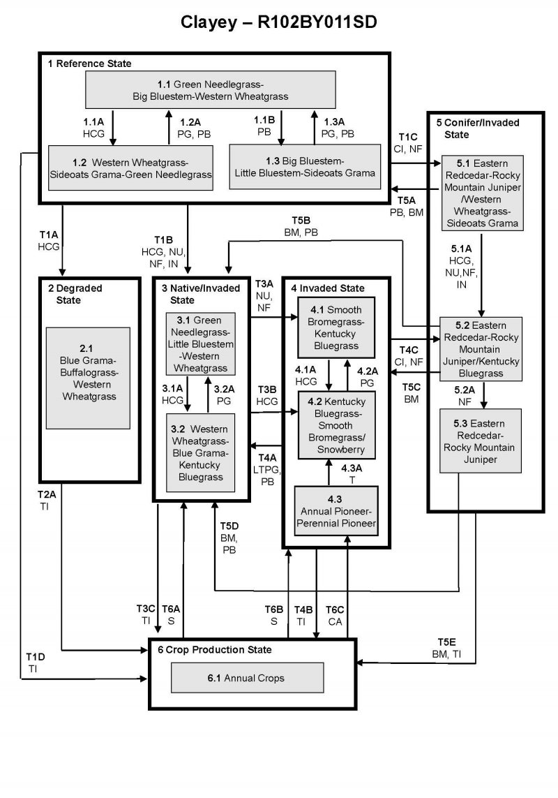 Model diagram