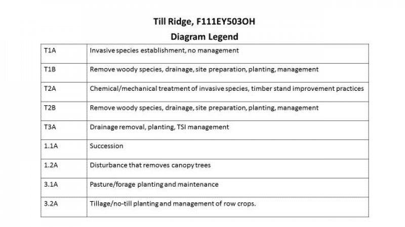 Model diagram