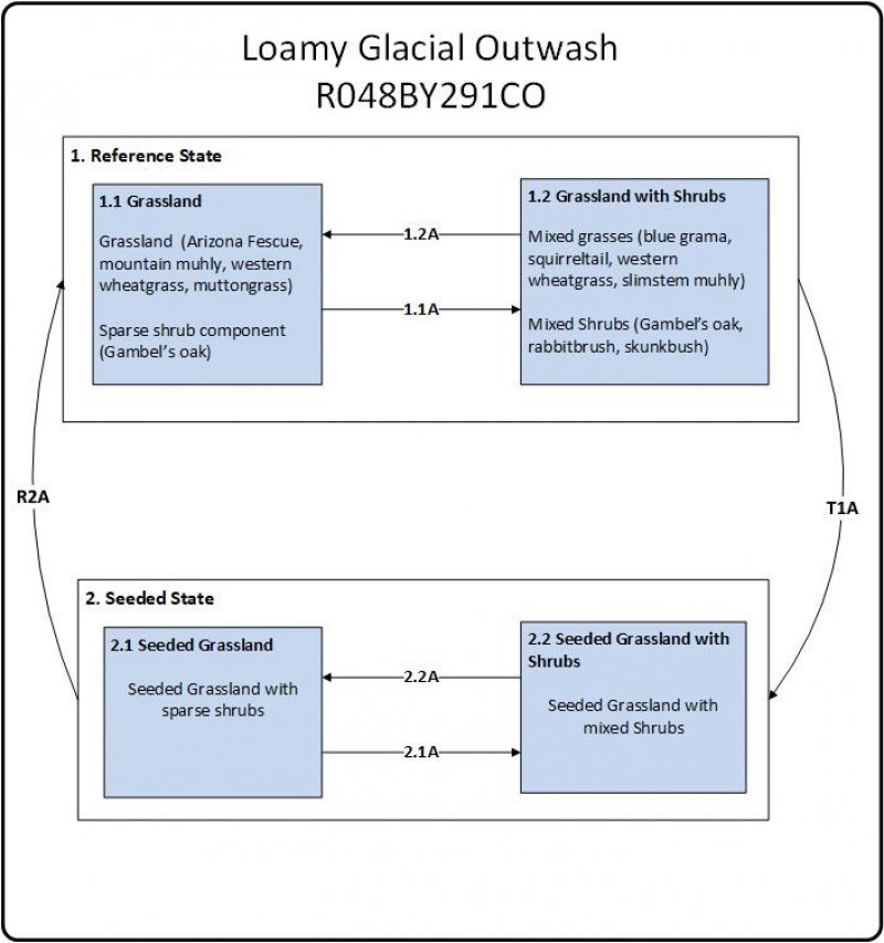 Model diagram