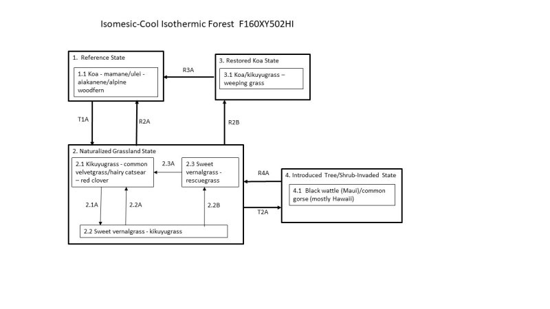 Model diagram