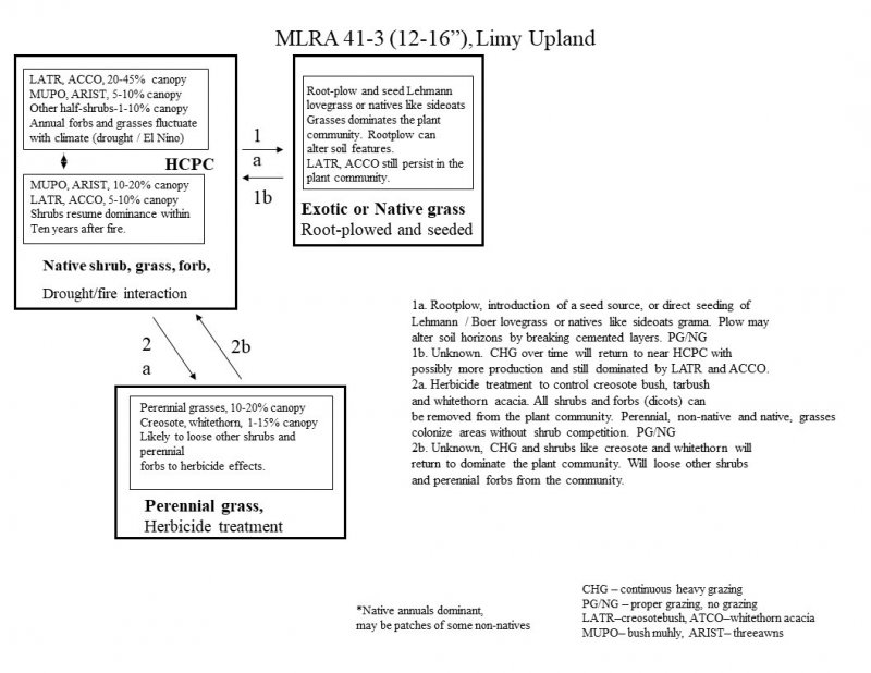 Model diagram