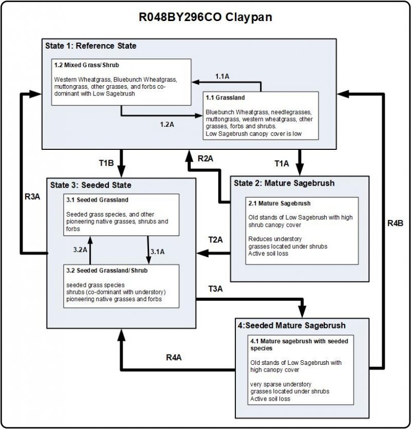 Model diagram