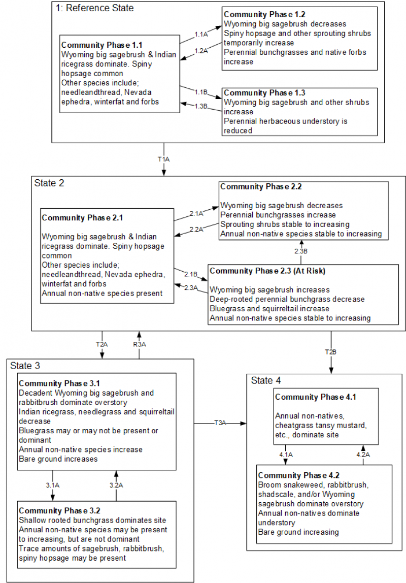 Model diagram