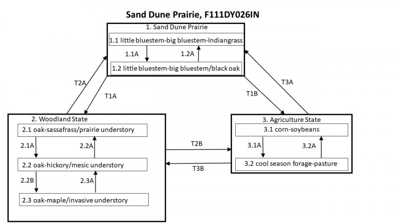 Model diagram