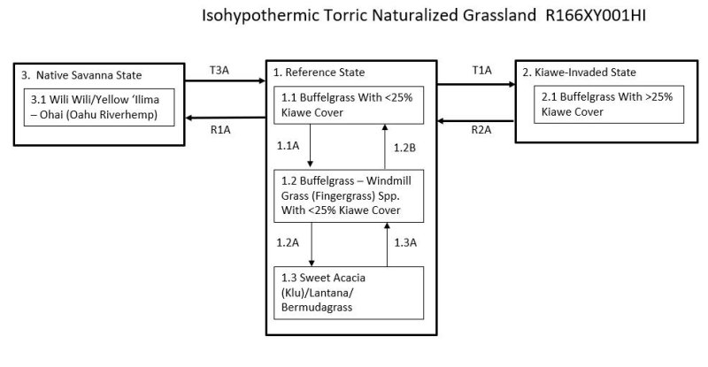 Model diagram