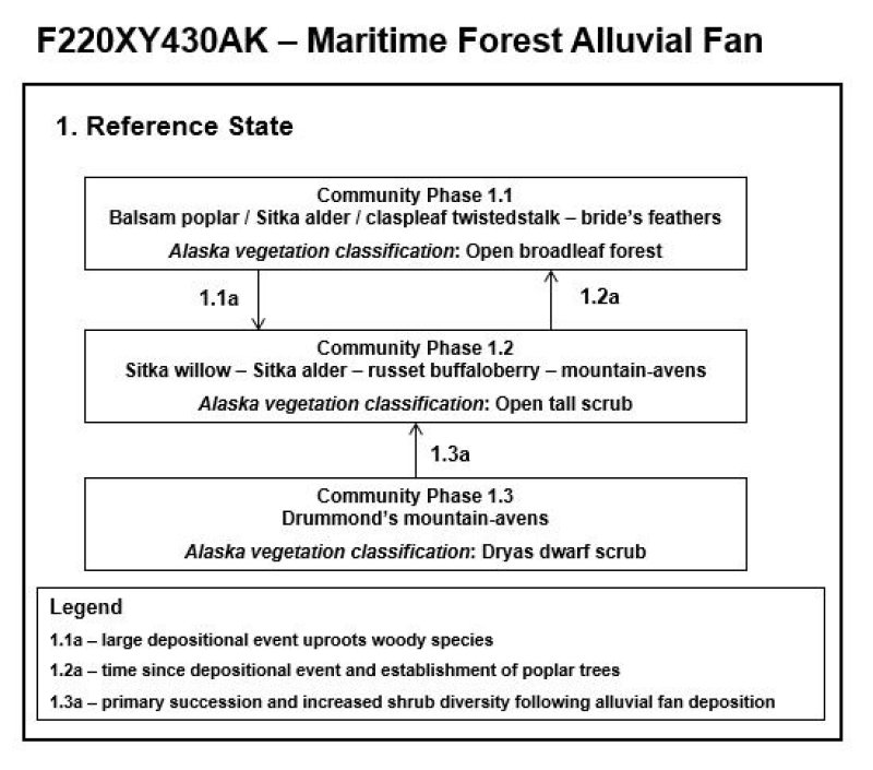 Model diagram