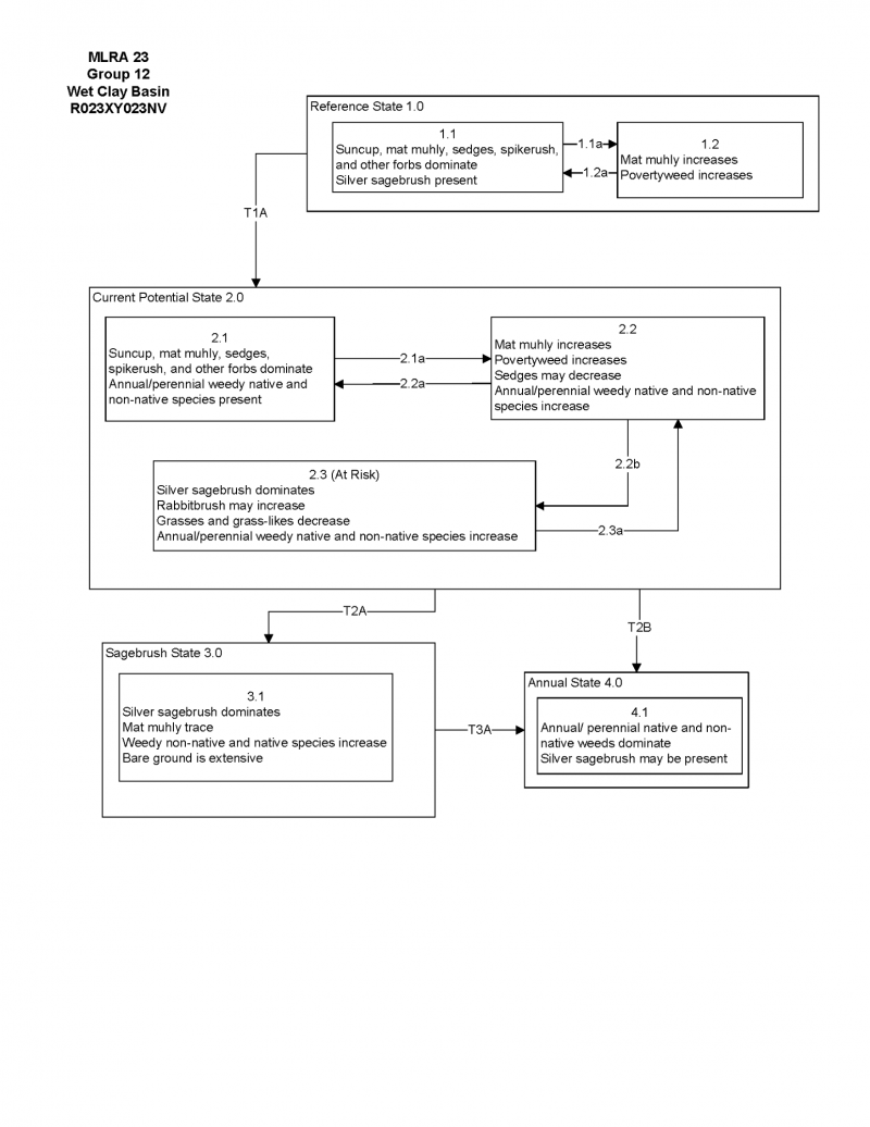 Model diagram