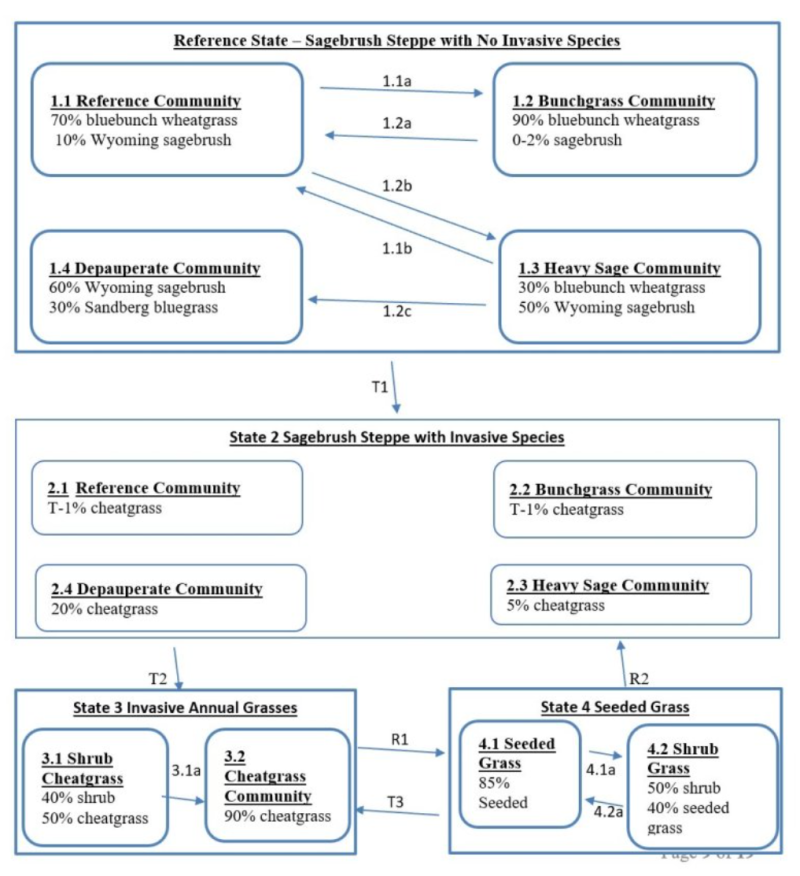 Model diagram