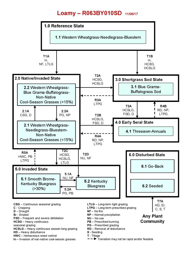 Model diagram