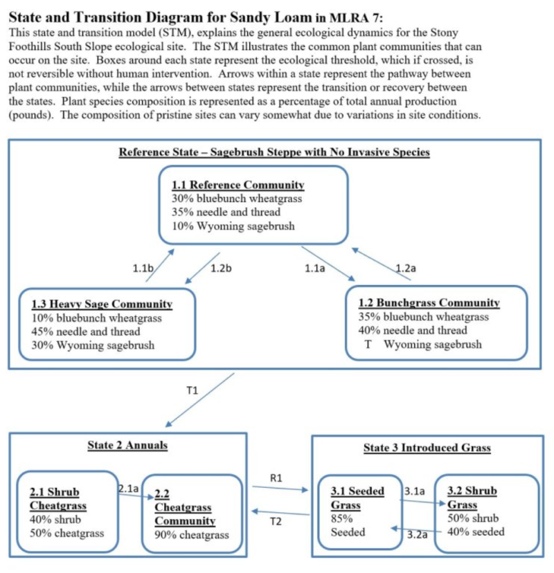 Model diagram