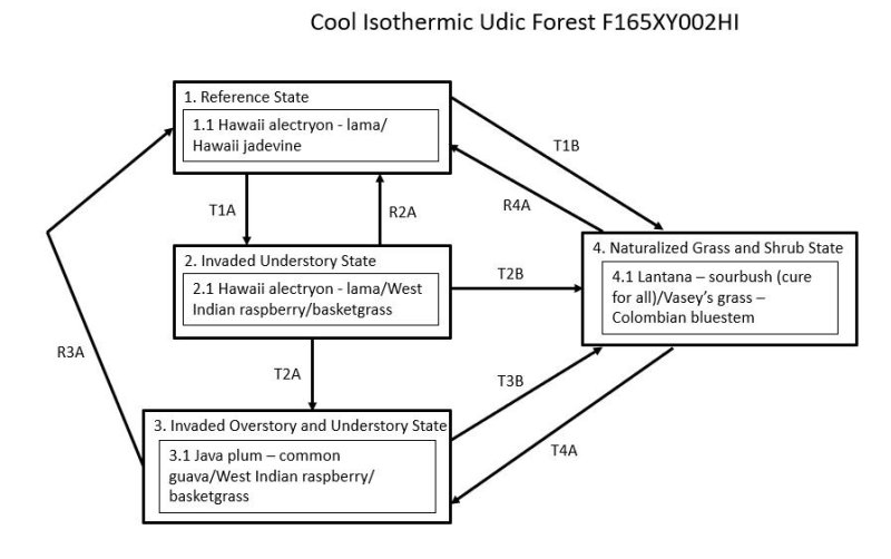 Model diagram