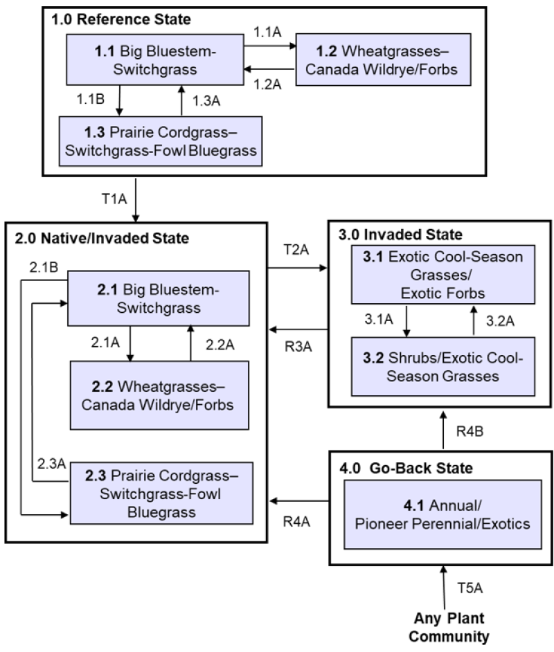 Model diagram
