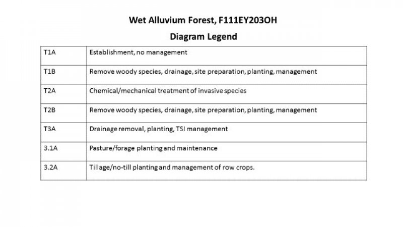 Model diagram