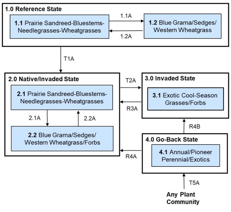 Model diagram