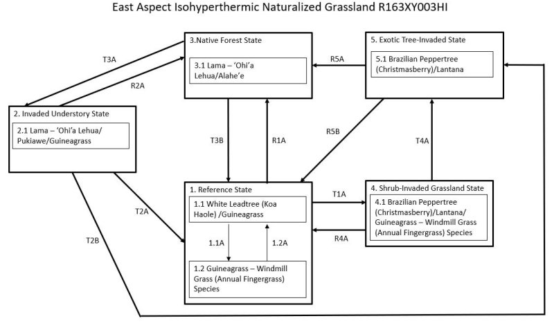 Model diagram