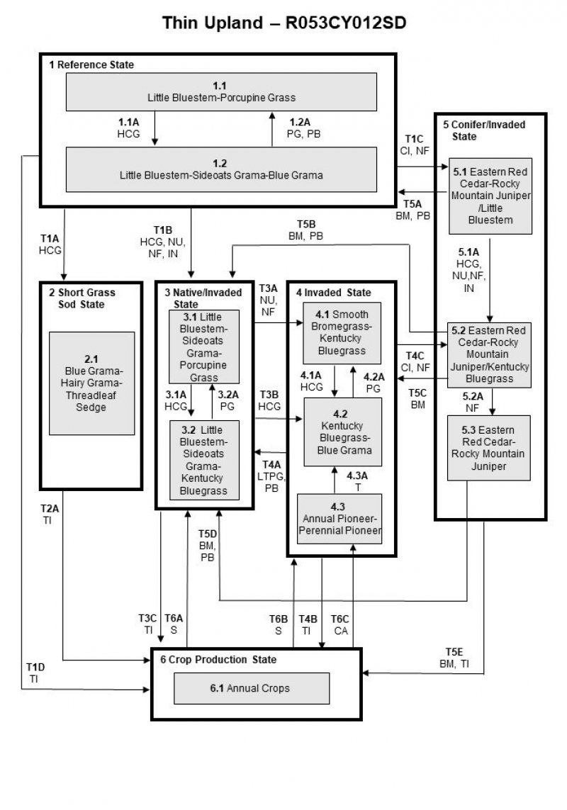 Model diagram