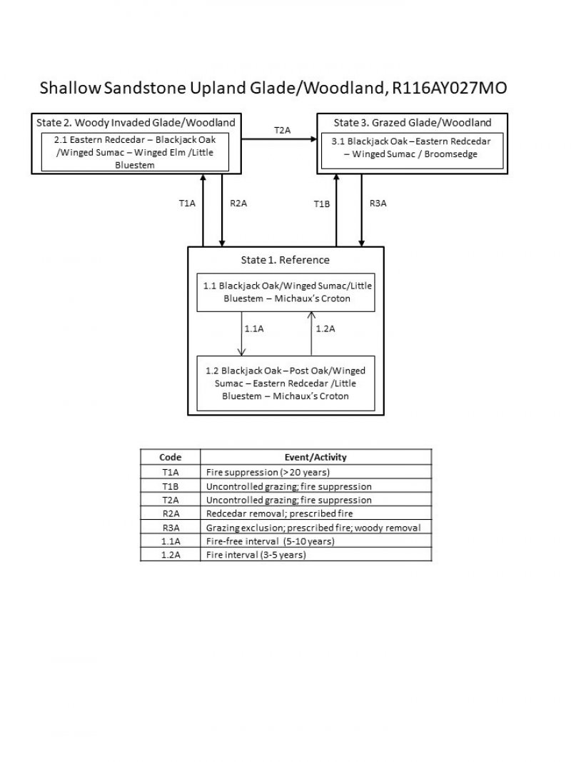 Model diagram