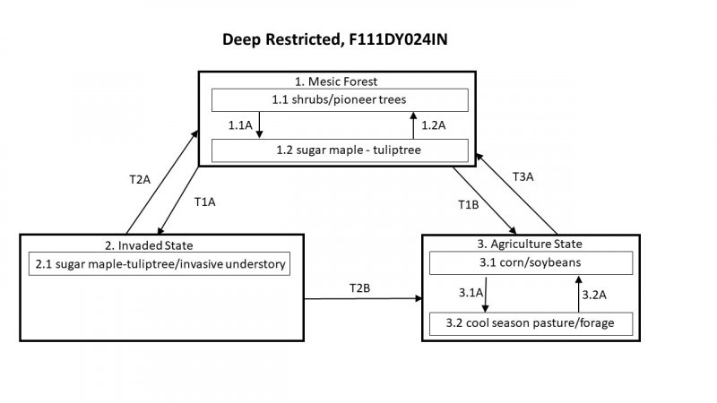 Model diagram