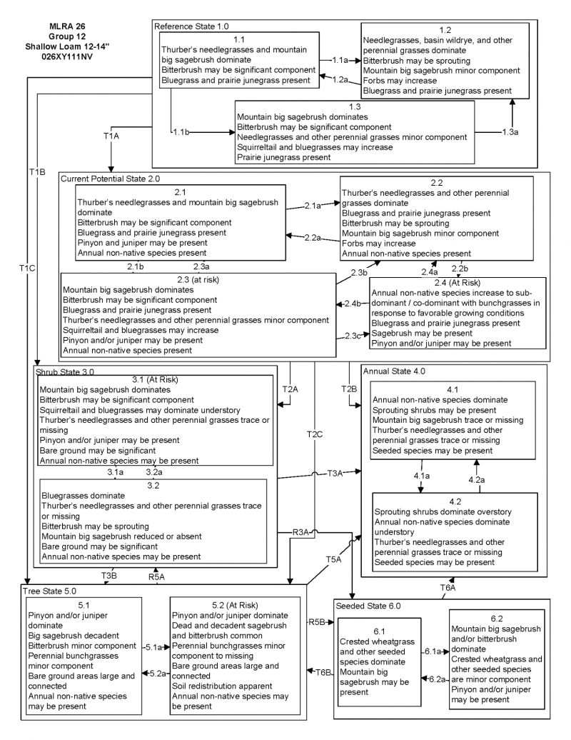 Model diagram