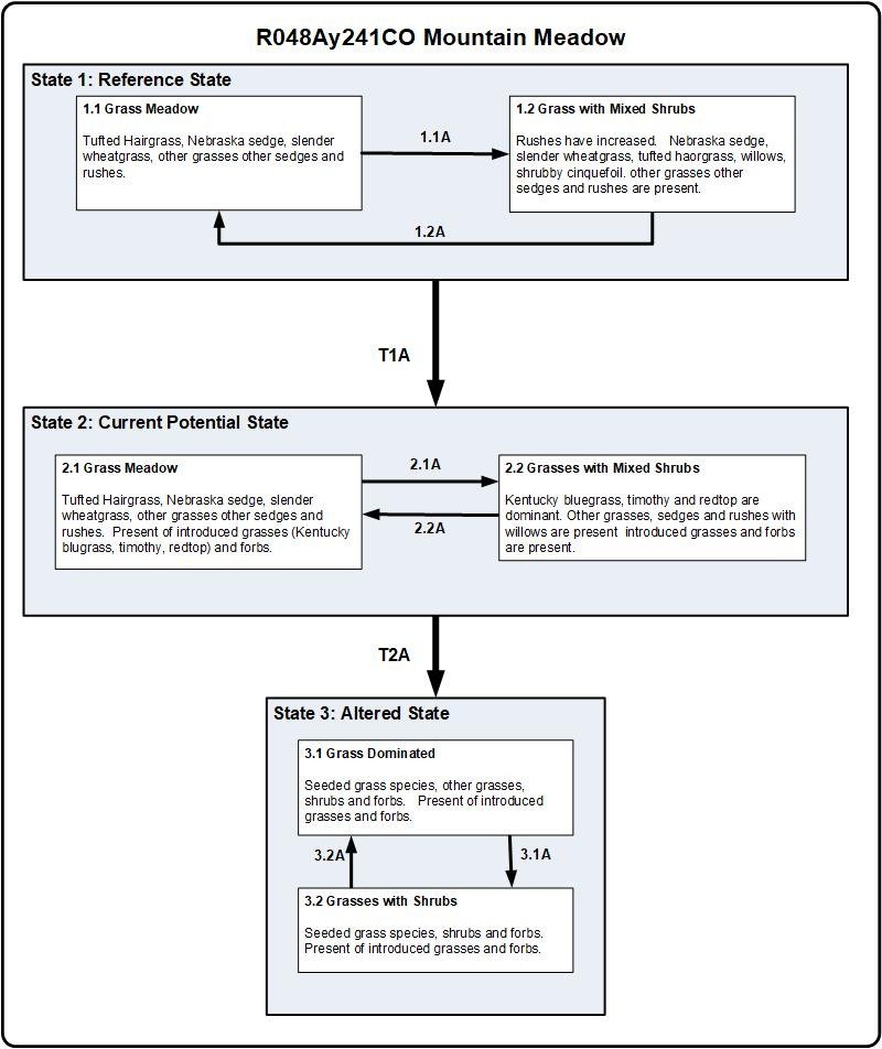 Model diagram