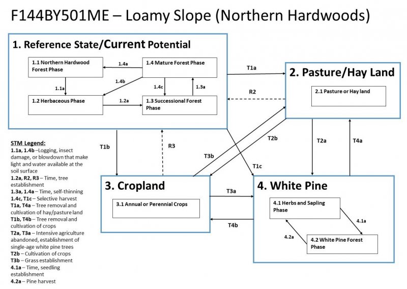Model diagram