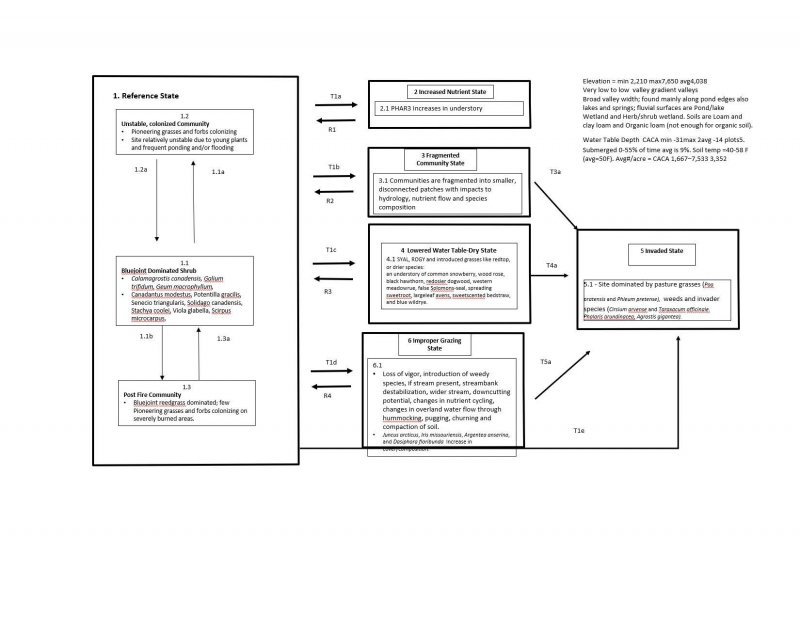 Model diagram