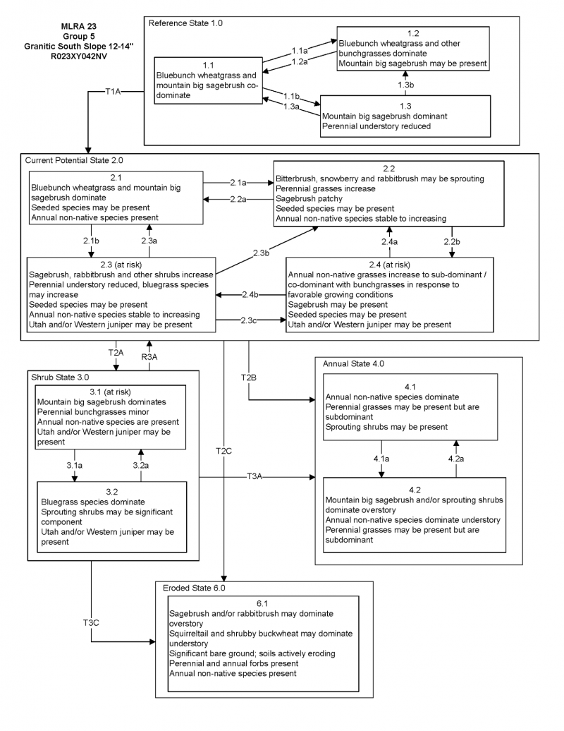 Model diagram