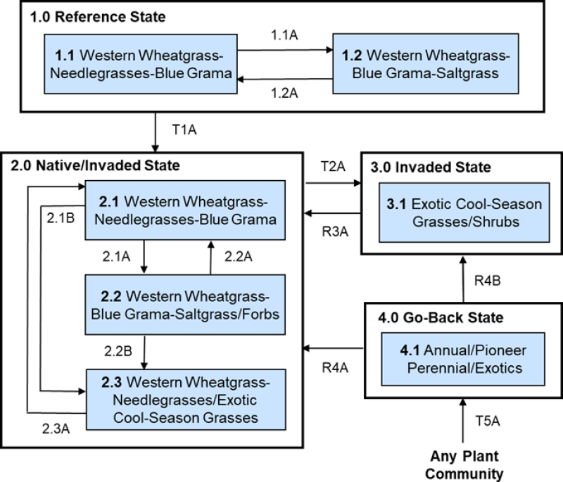 Model diagram