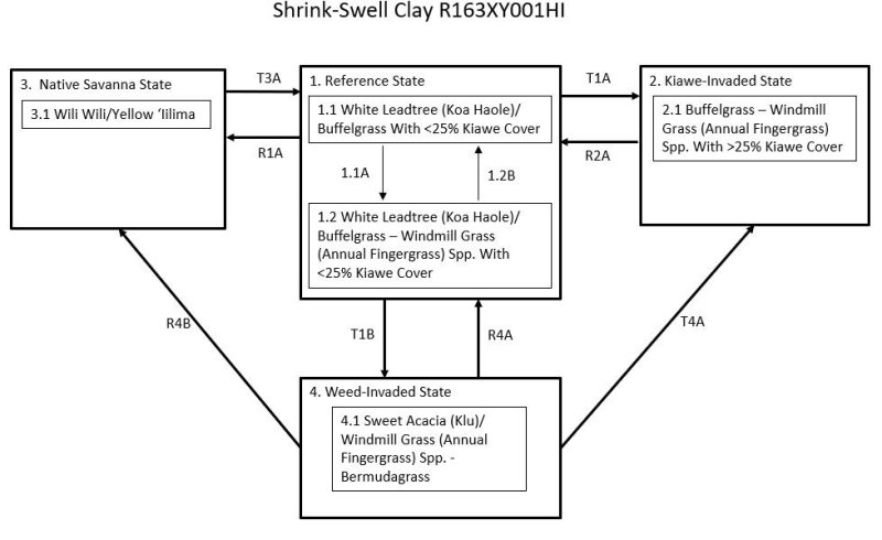 Model diagram